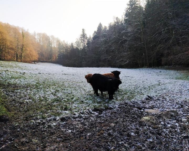 Waldgaststätte Buetthof